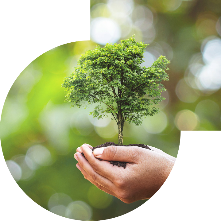 关怀人类、文化、环境与社会